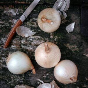 Oignon doux des Cévènnes