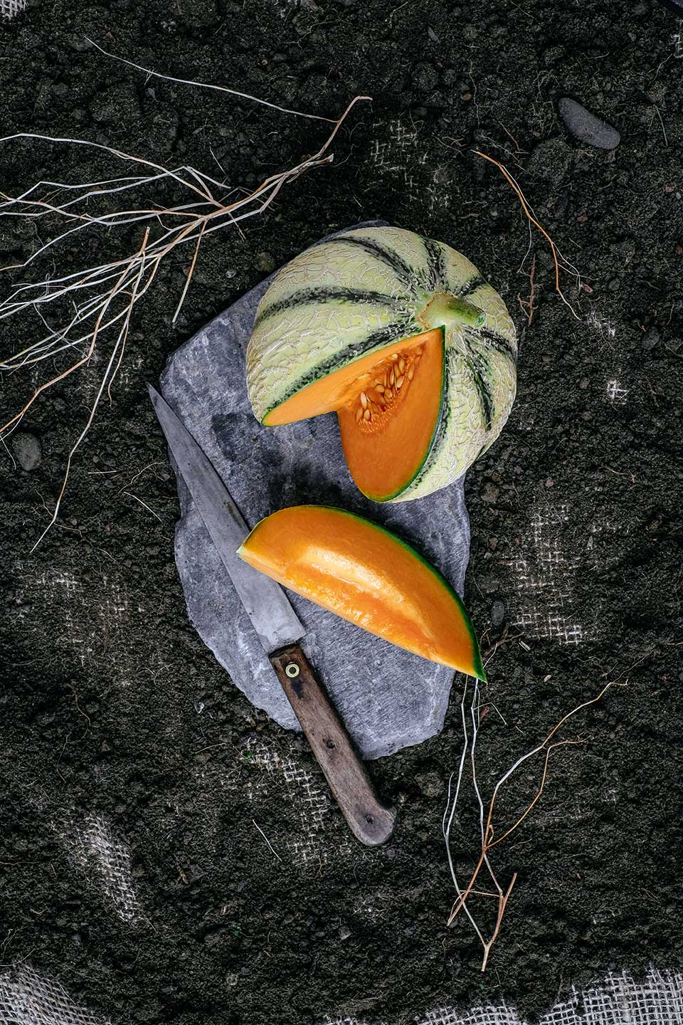 MELON DU QUERCY