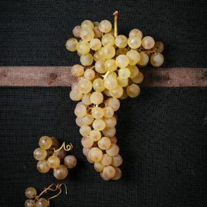 Chasselas de Moissac