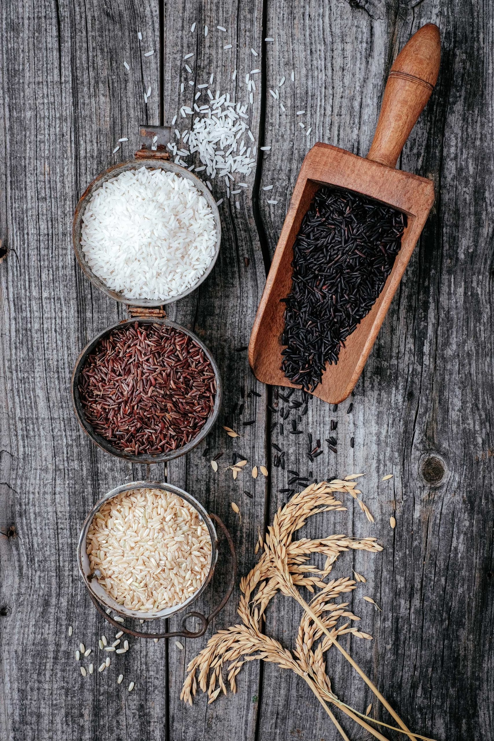 Riz de Camargue