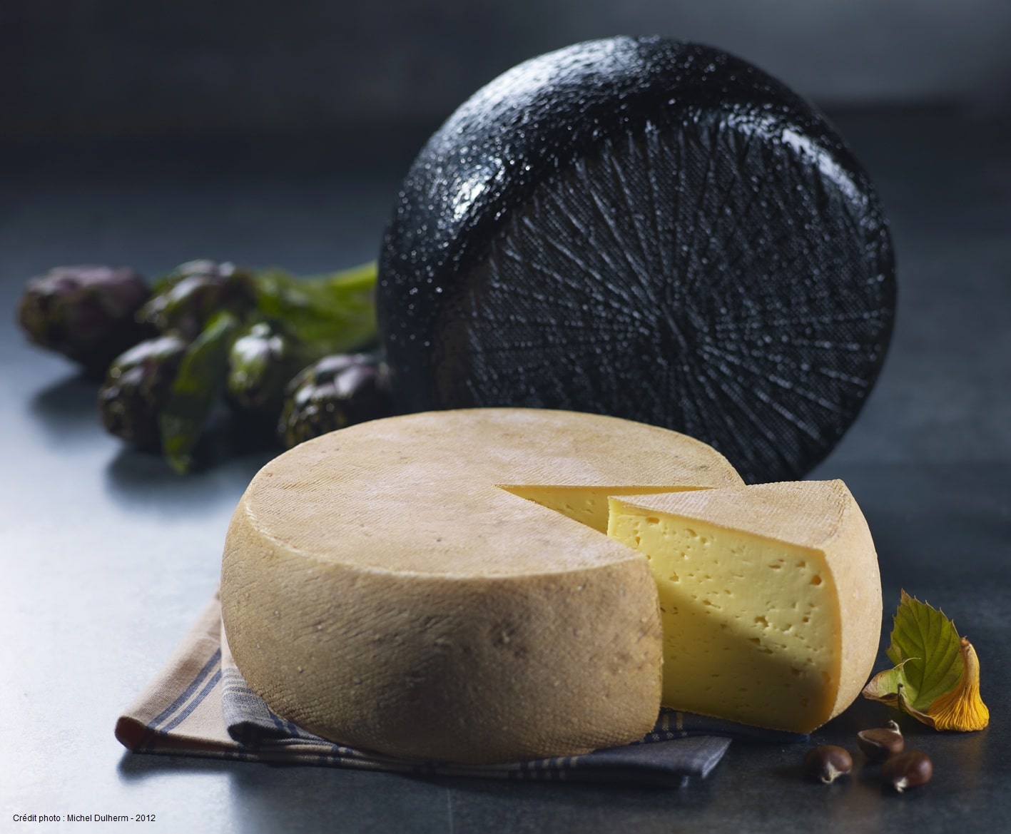 TOMME DES PYRENEES