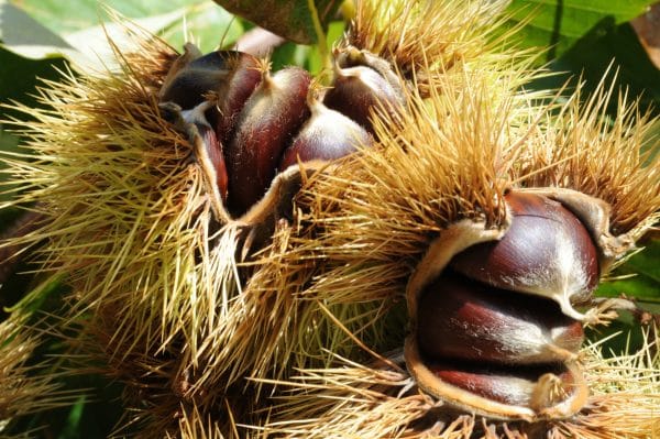 produit eco responsable hérault